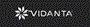 Vidanta Cruises